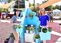 My lovely tour guides at the Ball Horticultural site; Katie Rotella with Ball Horticultural and Denise van Kampen of PanAmerican Seed. Katie is holding the lavender stoechas Bandera Deep Rose and Denise the Lavender Stoechas Bandera Deep Purple, both new varieties.
